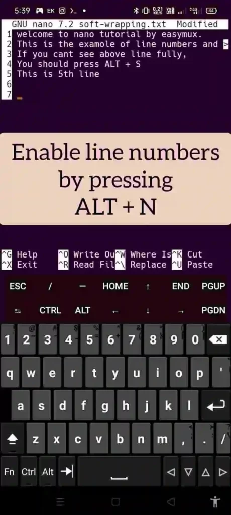 Nano - line numbering